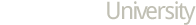 Web Video University